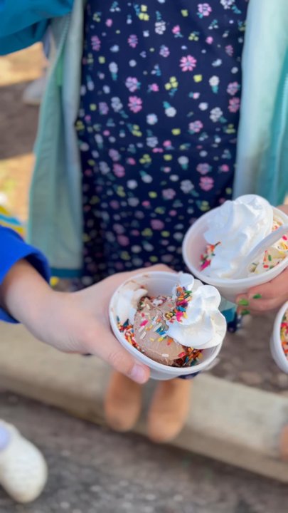 Lulu's Shaved Ice - Ice cream - Shaved Ice Near Me - Wentzville, Missouri