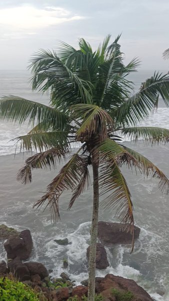 Photo of Varkala North cliff