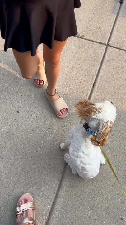 Cup & Cone - Free pup cup - Coffee & Tea Near Me - Bennington, Nebraska