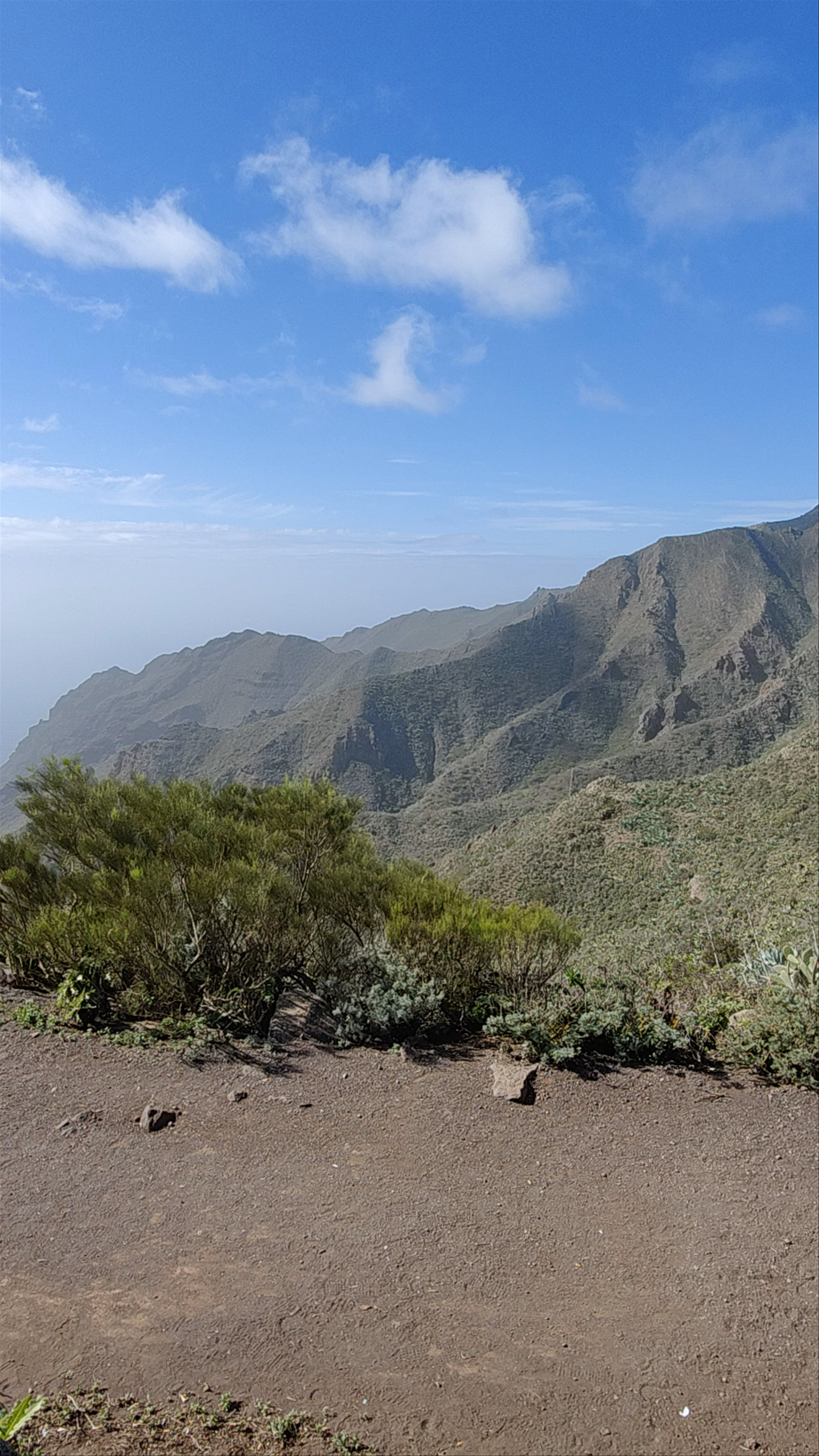 Mirador La Tabaiba