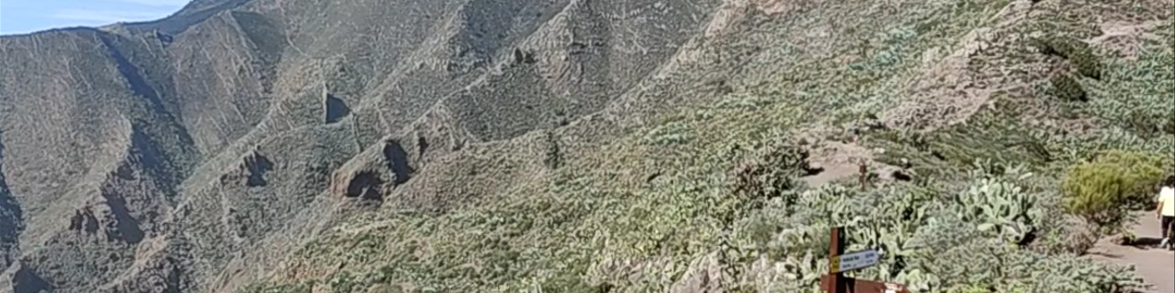 Mirador La Tabaiba