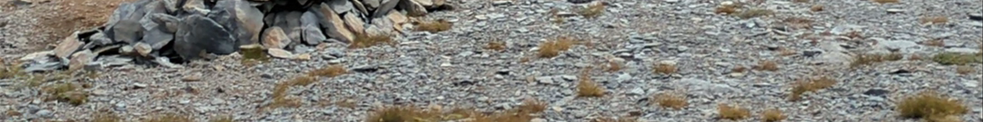 Tours & experiences in Kateríni