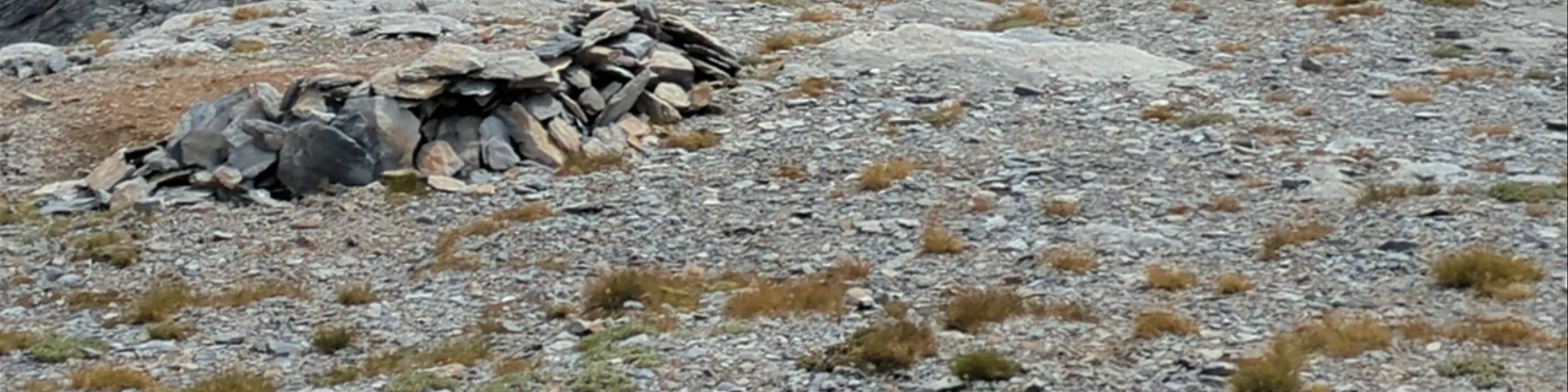 Giosos Apostolidis Refuge