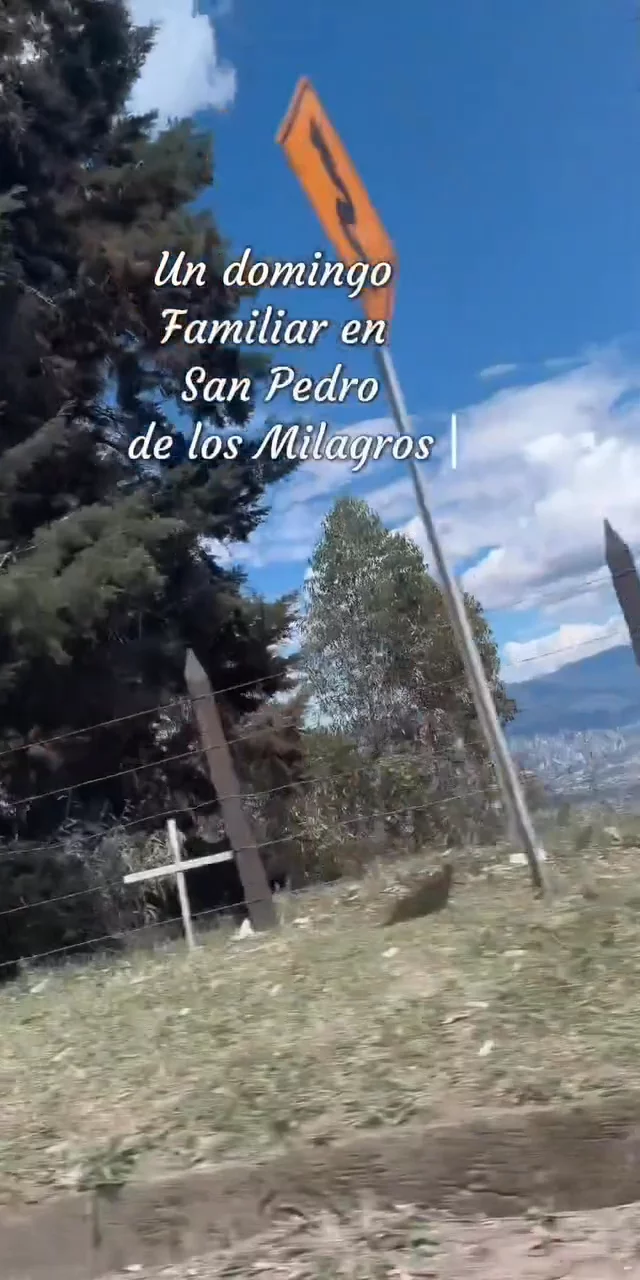 Contenido del creador