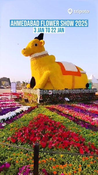 Photo of Visit Ahmedabad Flow