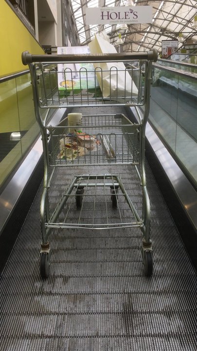 The Enjoy Centre - Magical magnetic escalator - Nurseries & Gardening Near Me - St Albert, Alberta
