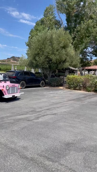 Moke & Wine Tours - Rose all day - Wine Tours Near Me