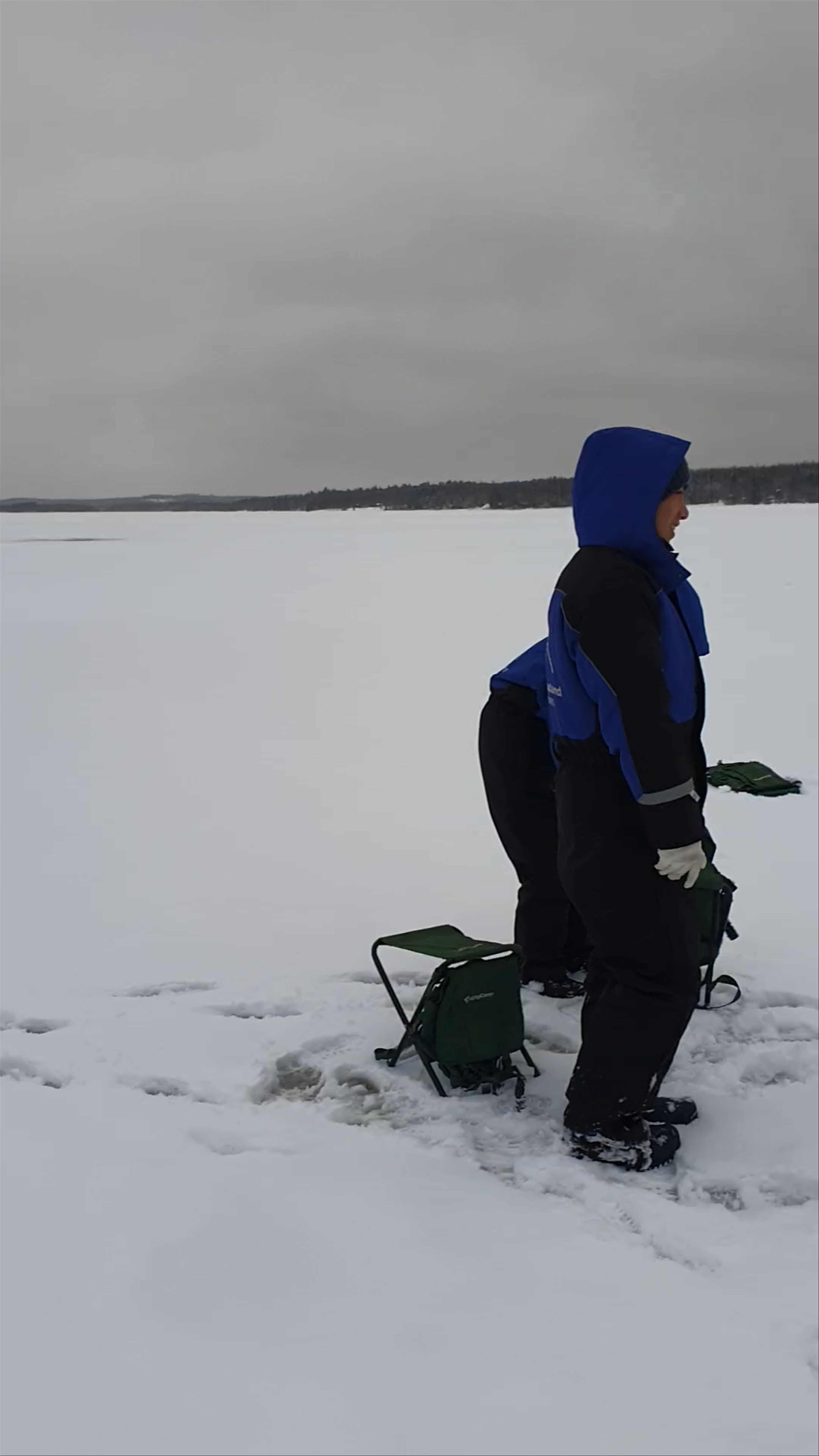 Wild About Lapland