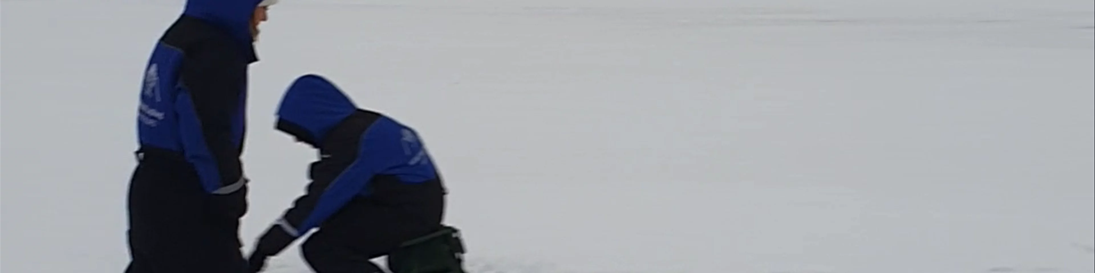 Wild About Lapland