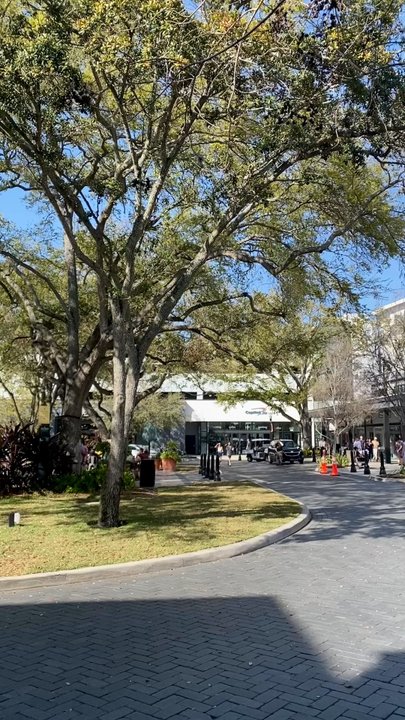 sweetgreen - Healthy Salads, Wraps, and Bowls - Hyde Park Village - Salad Near Me - Tampa, Florida