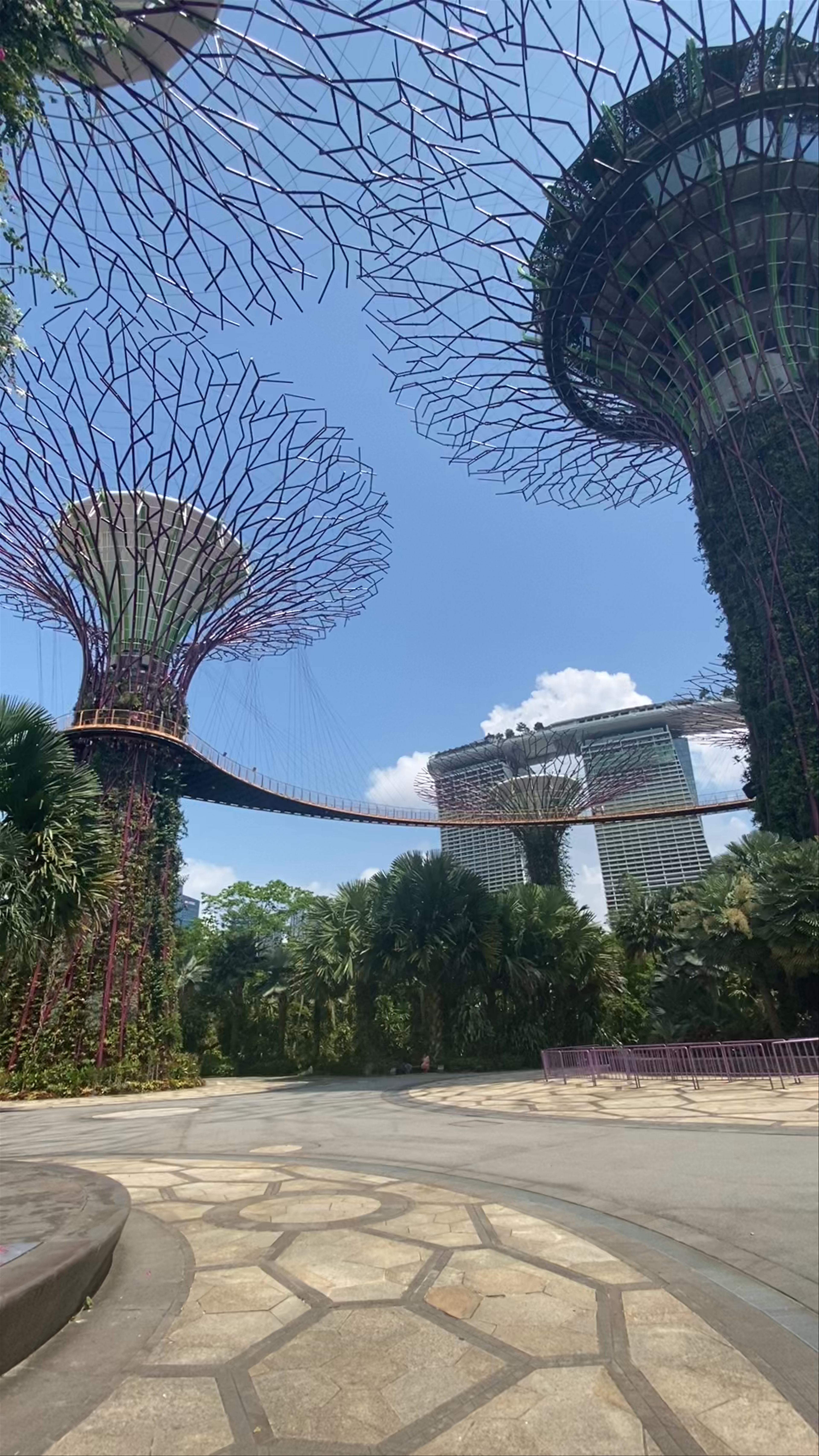 Gardens by the Bay East (Panoramic view)