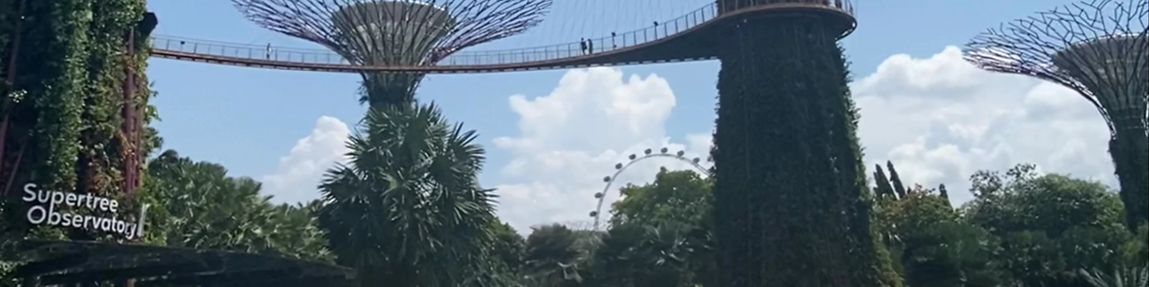 Gardens by the Bay East (Panoramic view)