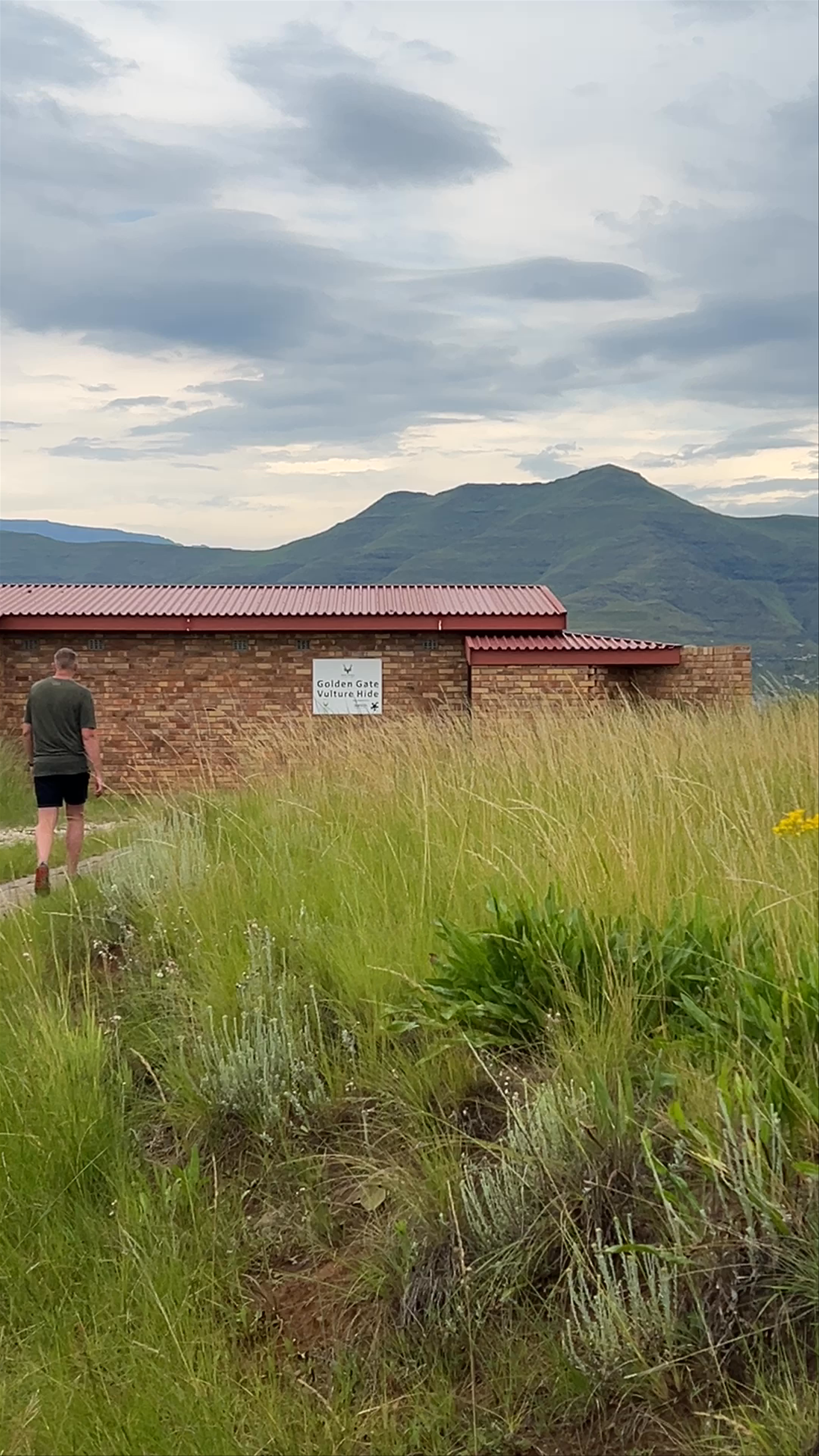 Vulture Hide