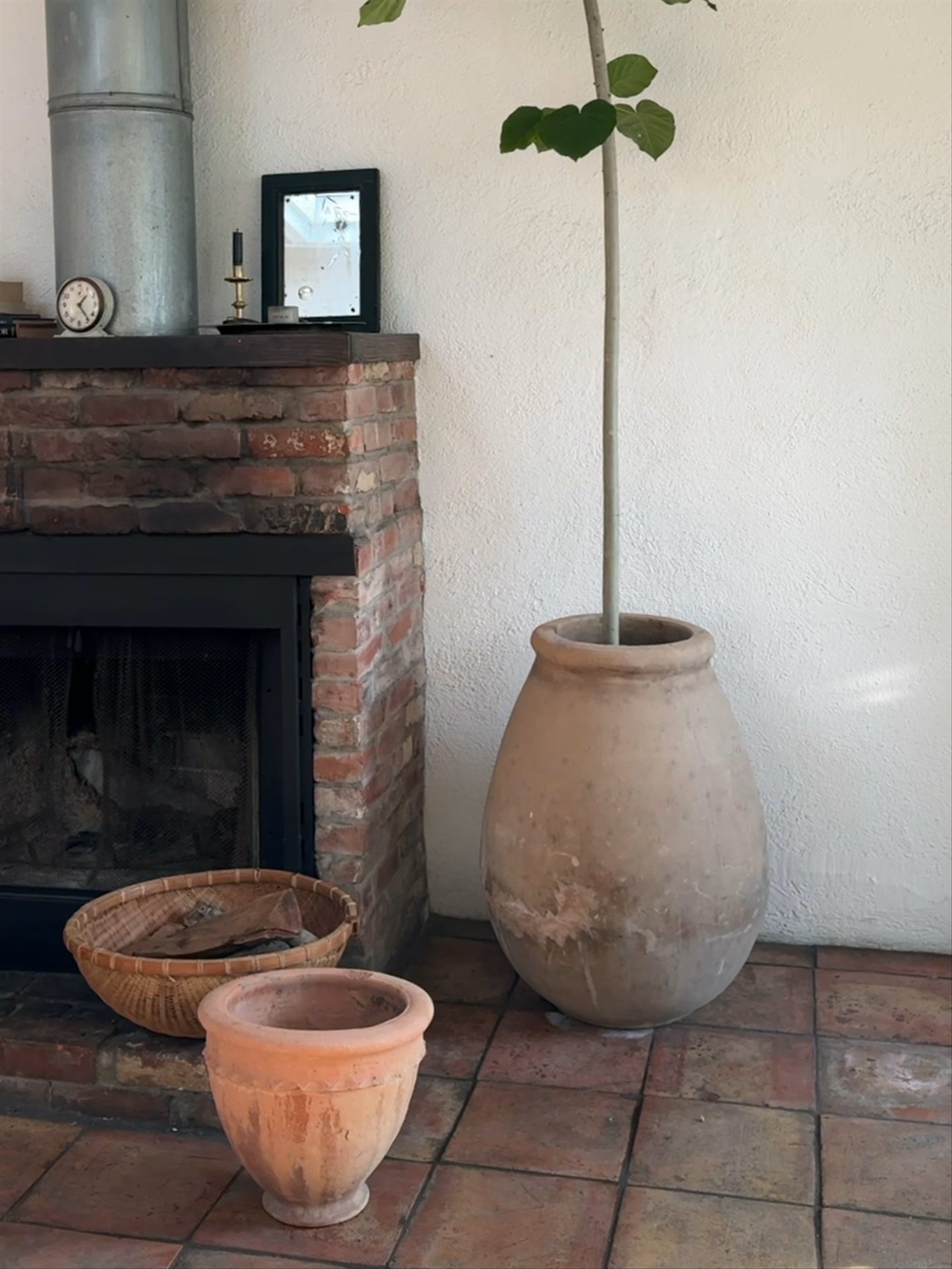 Sahara planter