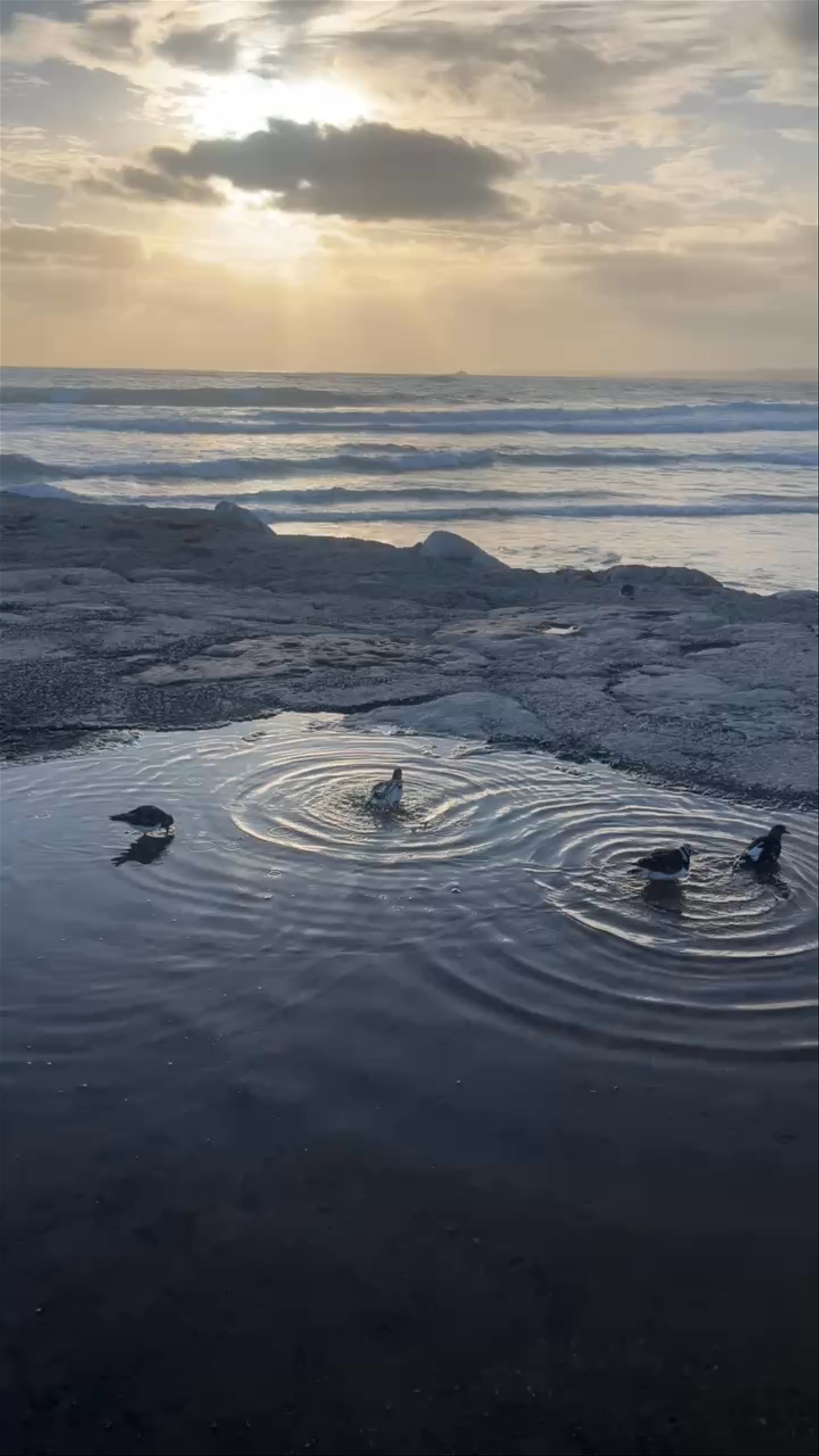 Magical Sunset & Serene Waves at Costa de Caparica Beaches, Portugal
