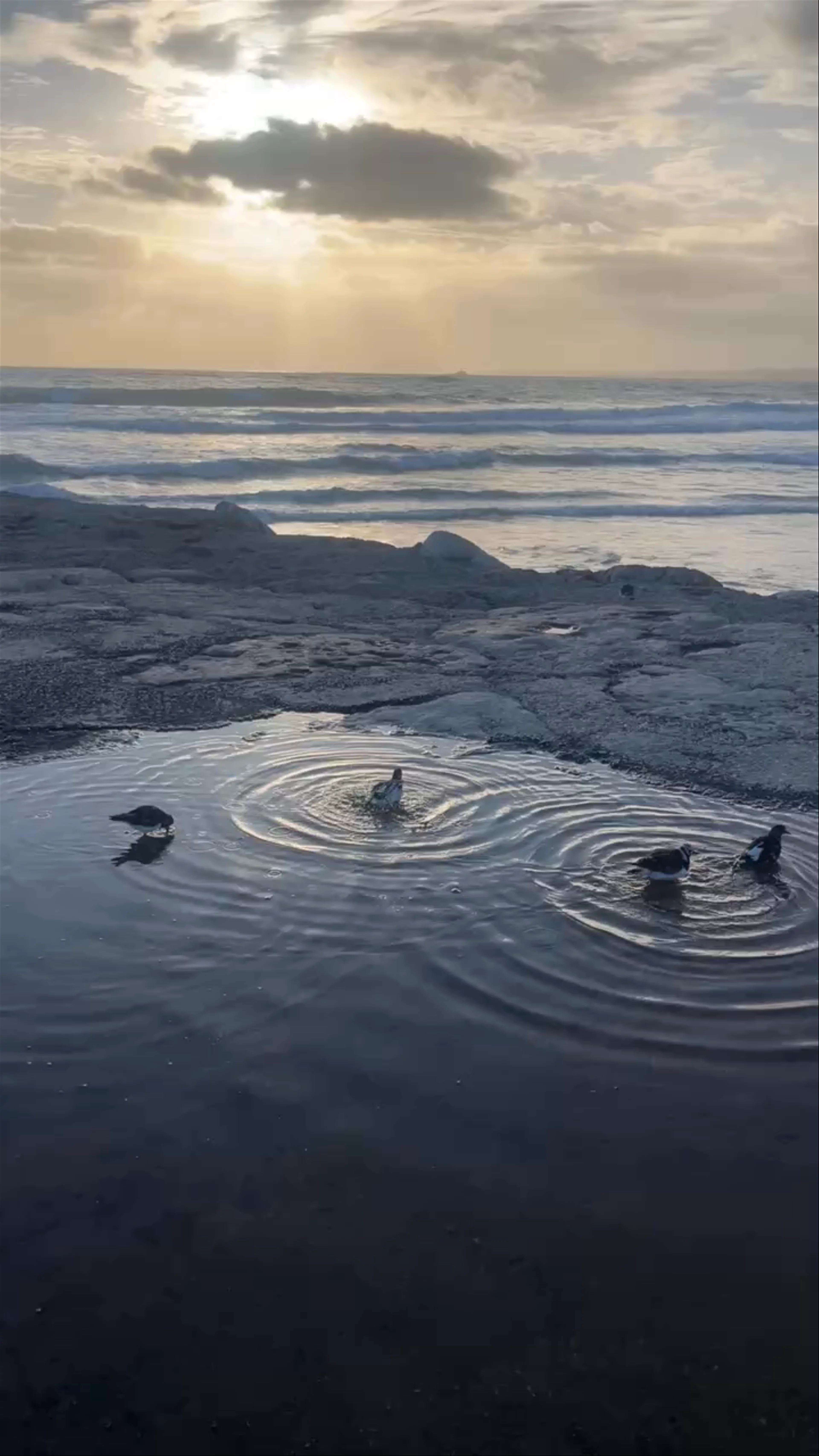 Costa de Caparica Beaches