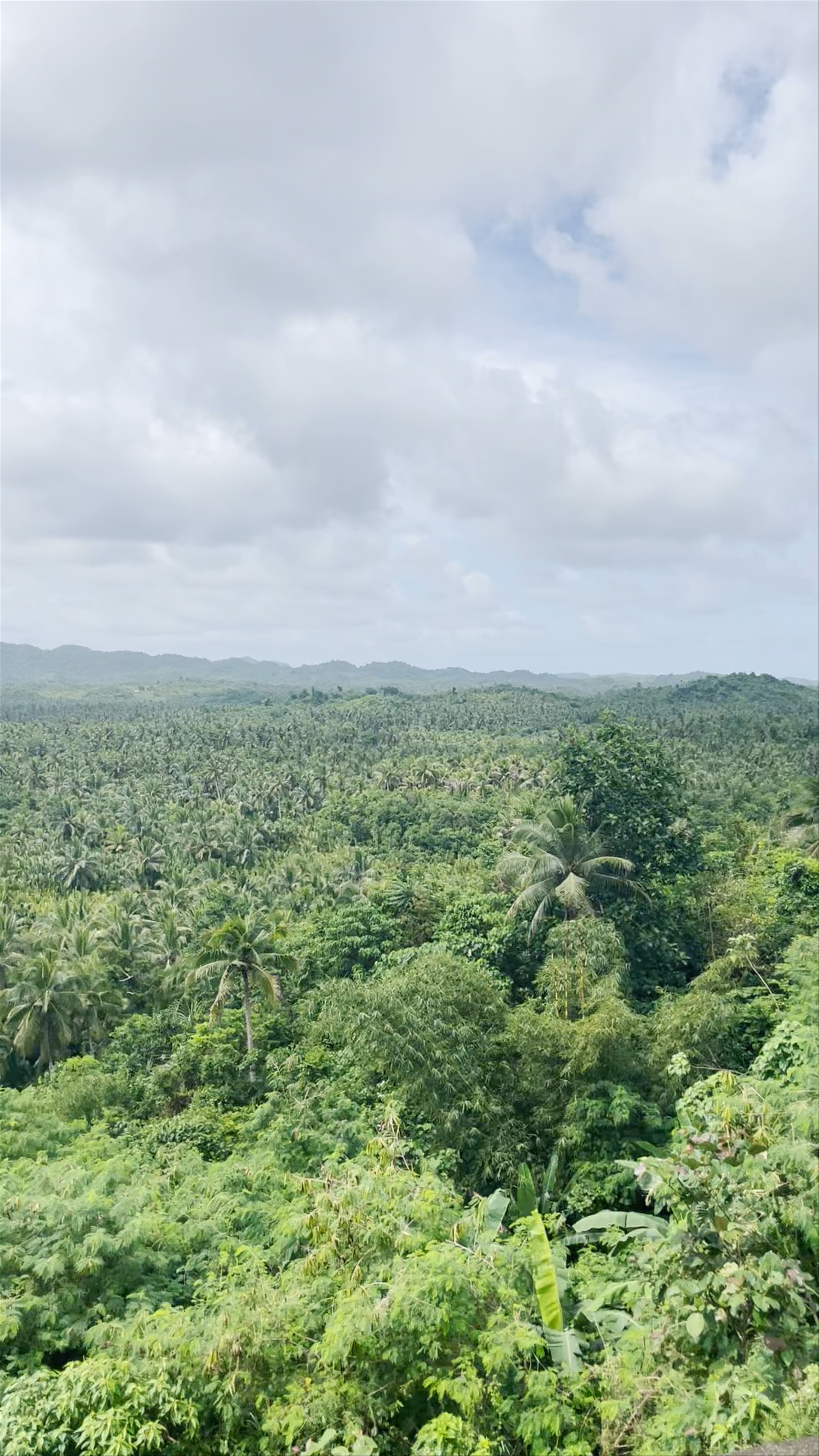 Coconut view v1