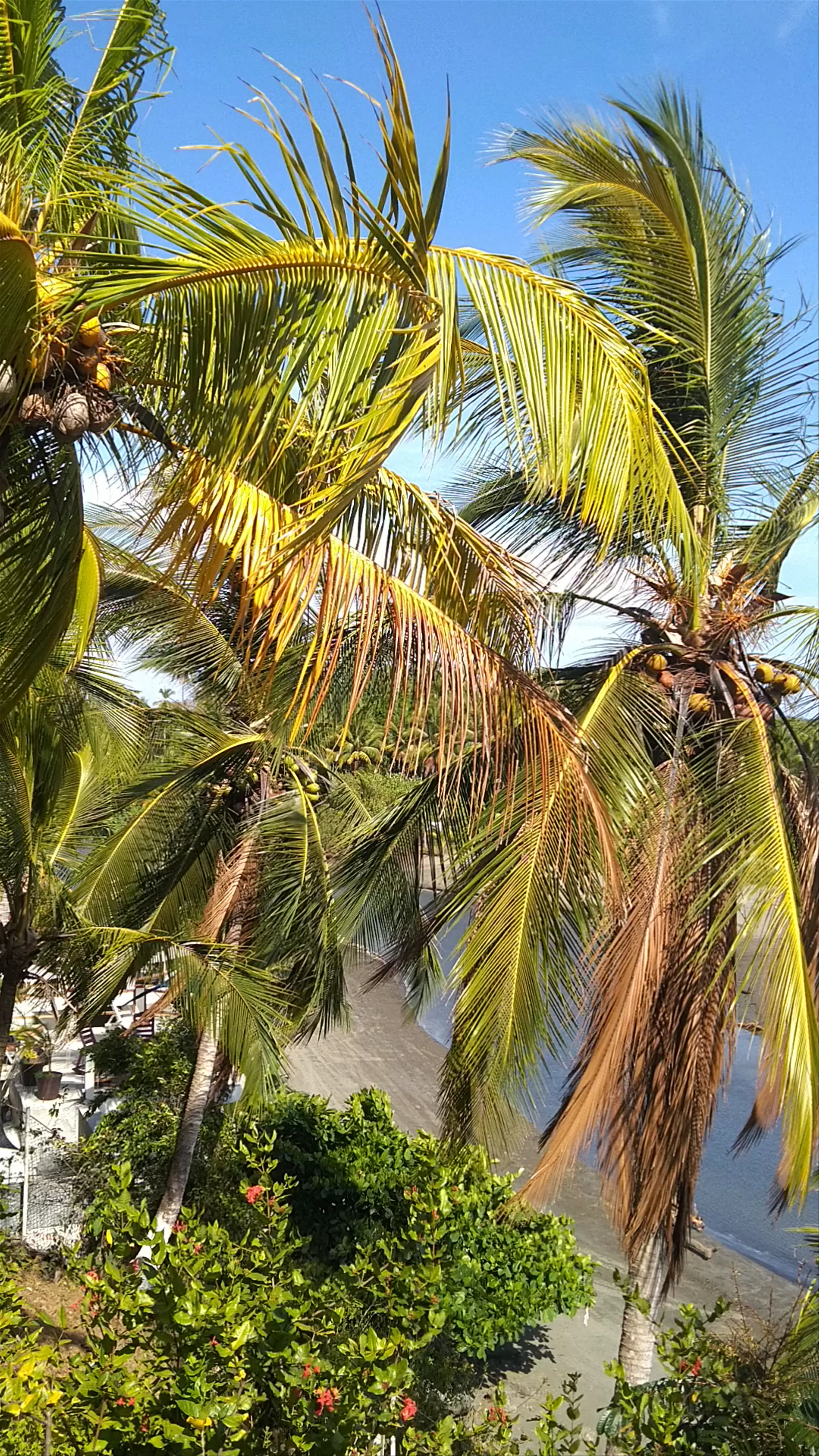 Rancho Estero, Calle Hacia Playa Estero, Santa Catalina