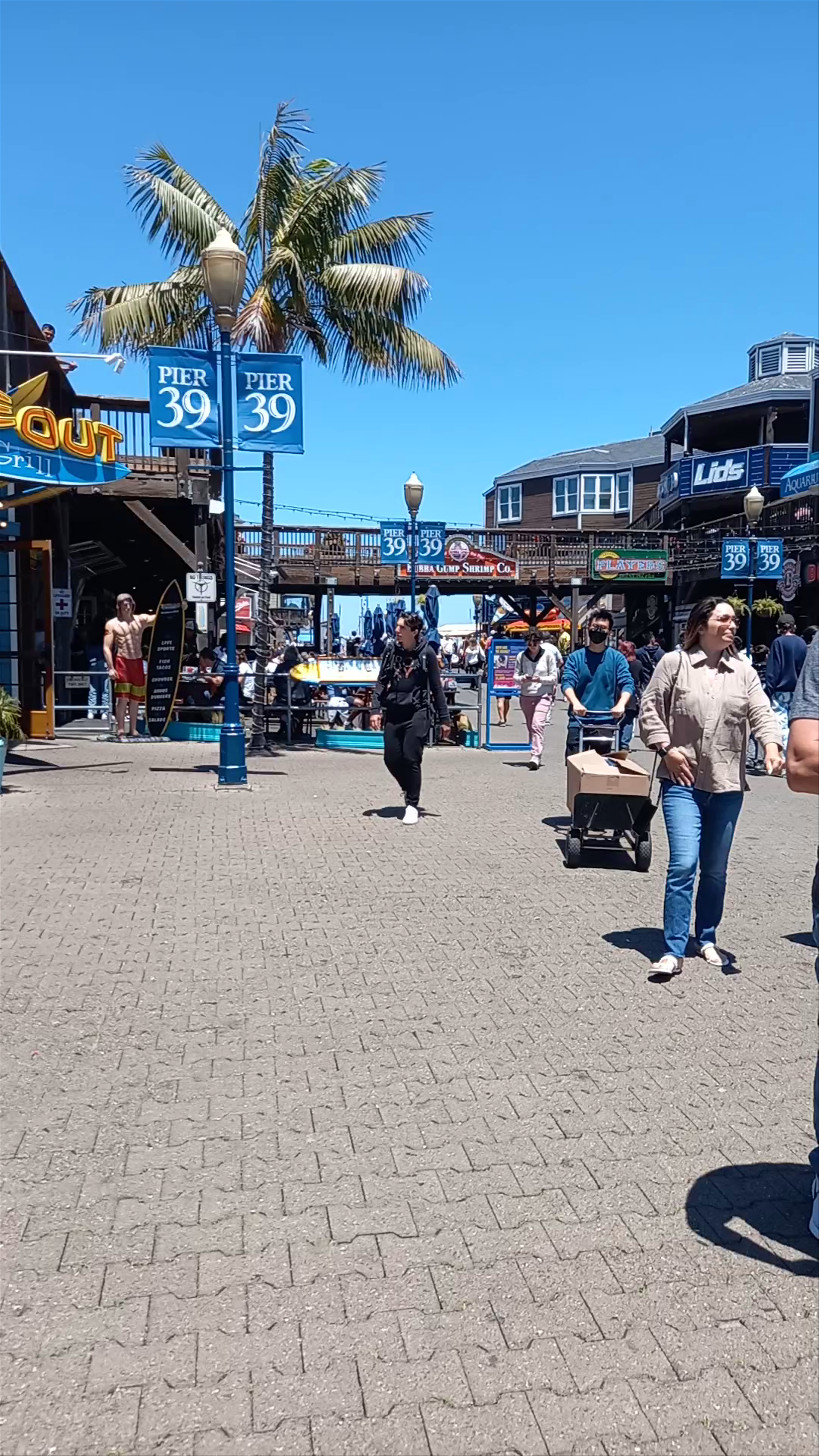 PIER 39