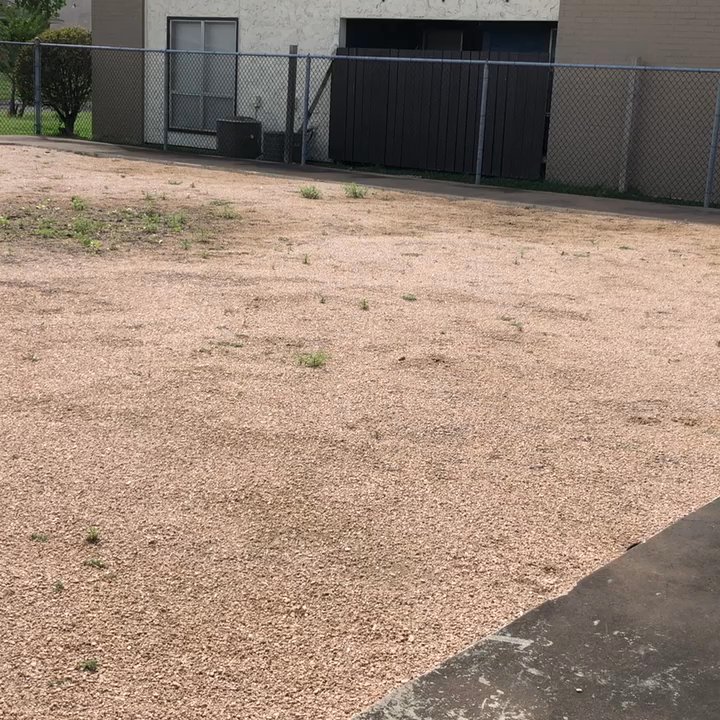 Heritage Square Apartments - Very pet friendly place. Have a safe place for the dogs to use. - Apartments Near Me - Waco, Texas