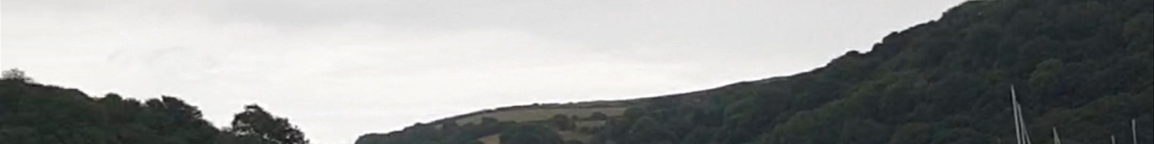 Tours & experiences in Fowey