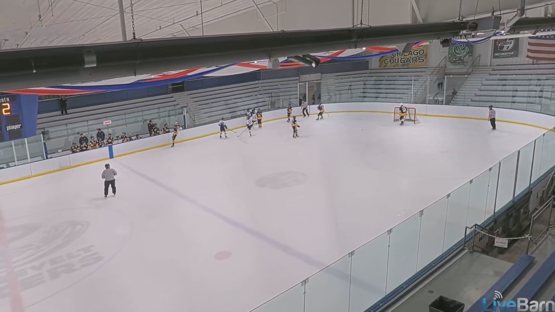 Eli West's Dazzling Goals & Skating Highlights | Chicago Blues 15U AA
