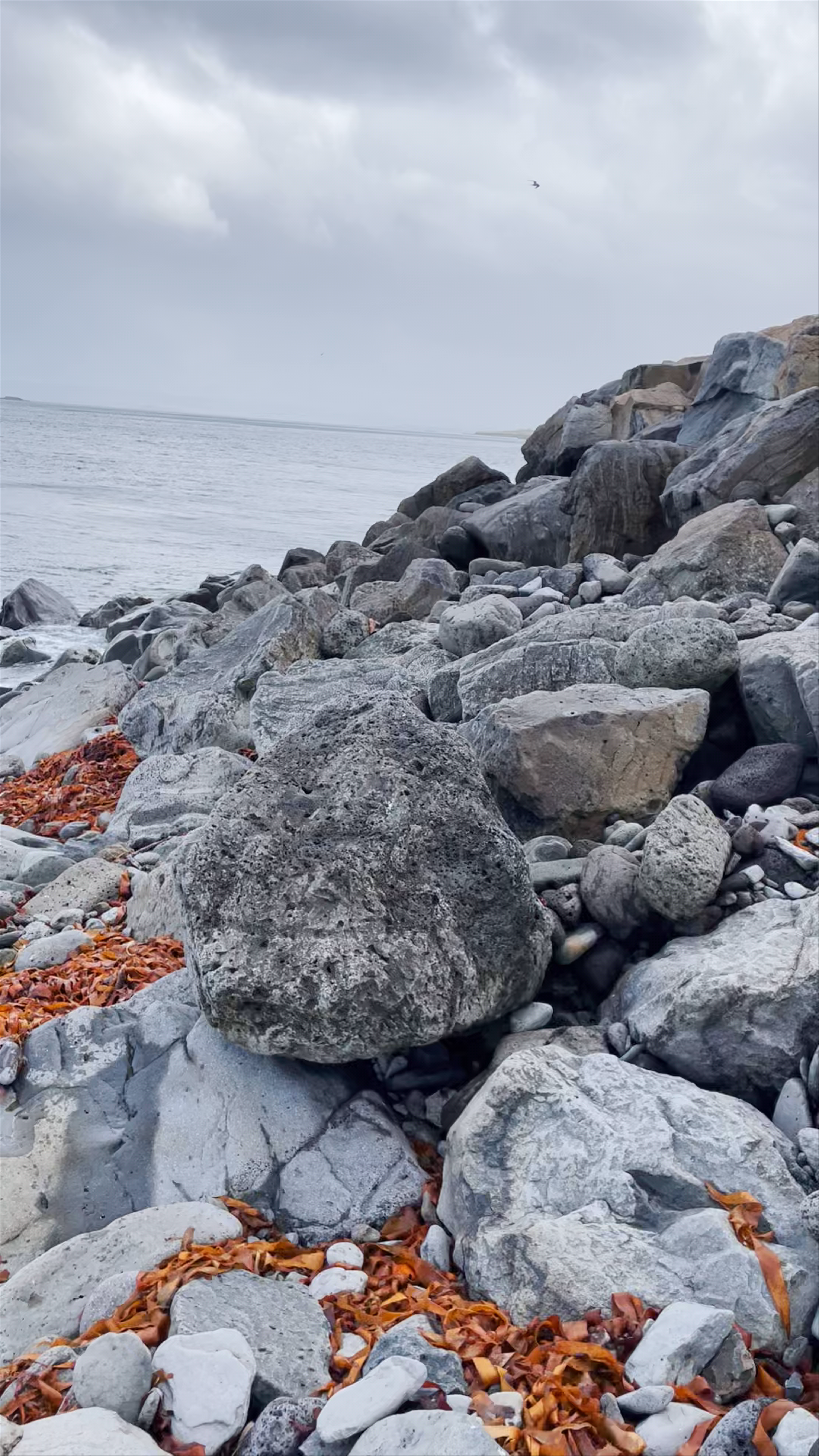 Grettislaug Campsite in Reykhólar