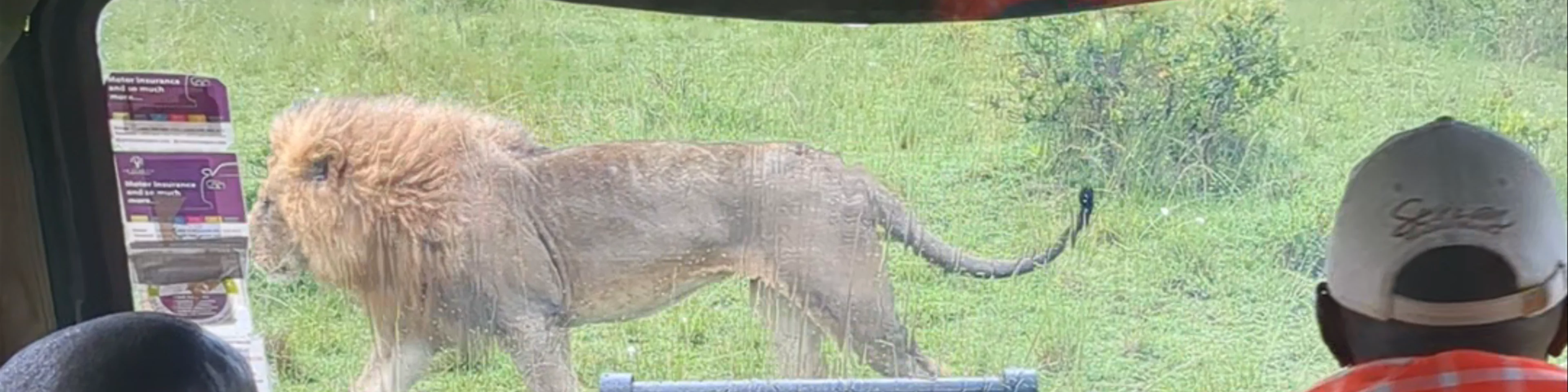Mara North Conservancy