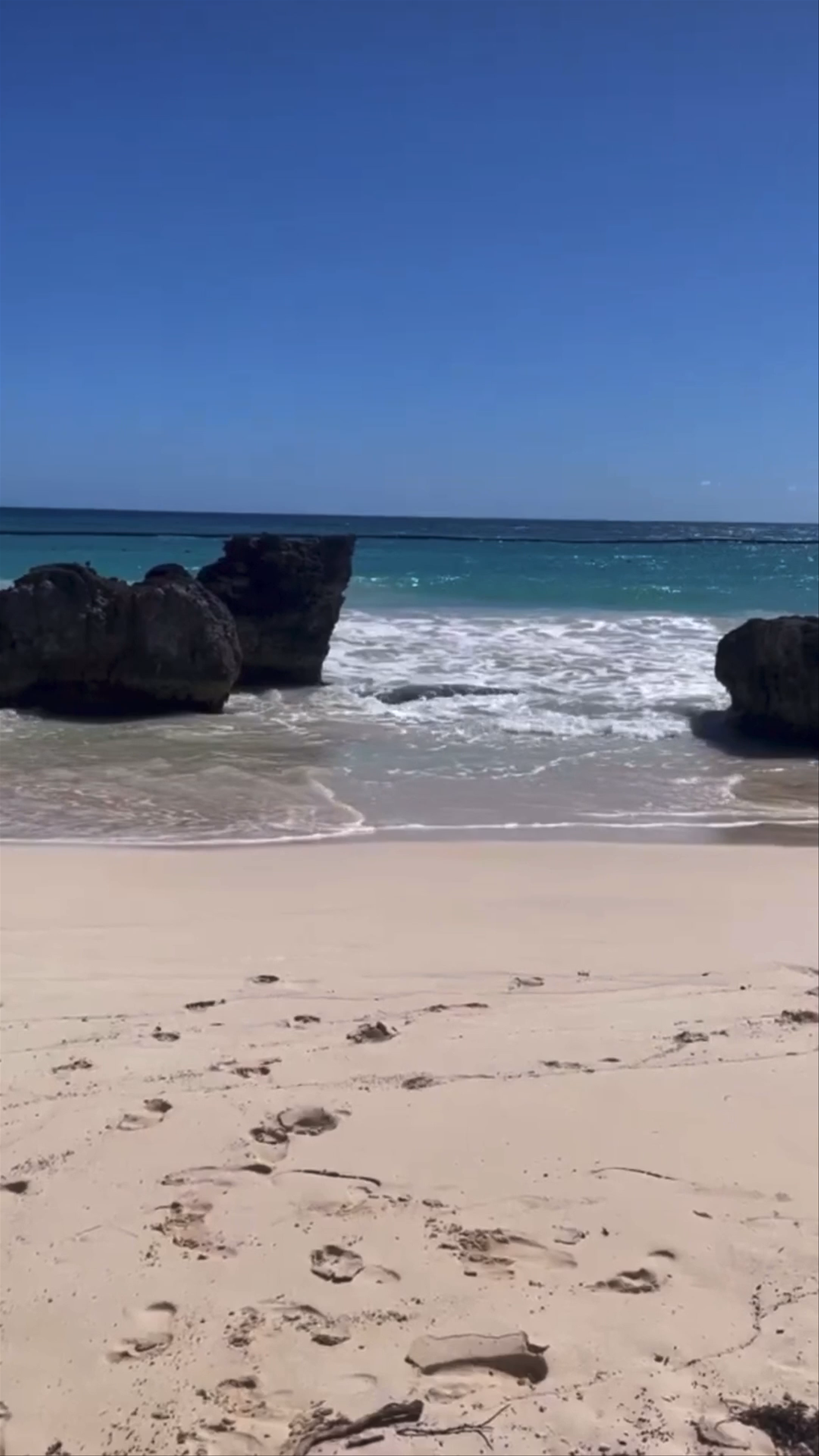 Occidental Punta Cana