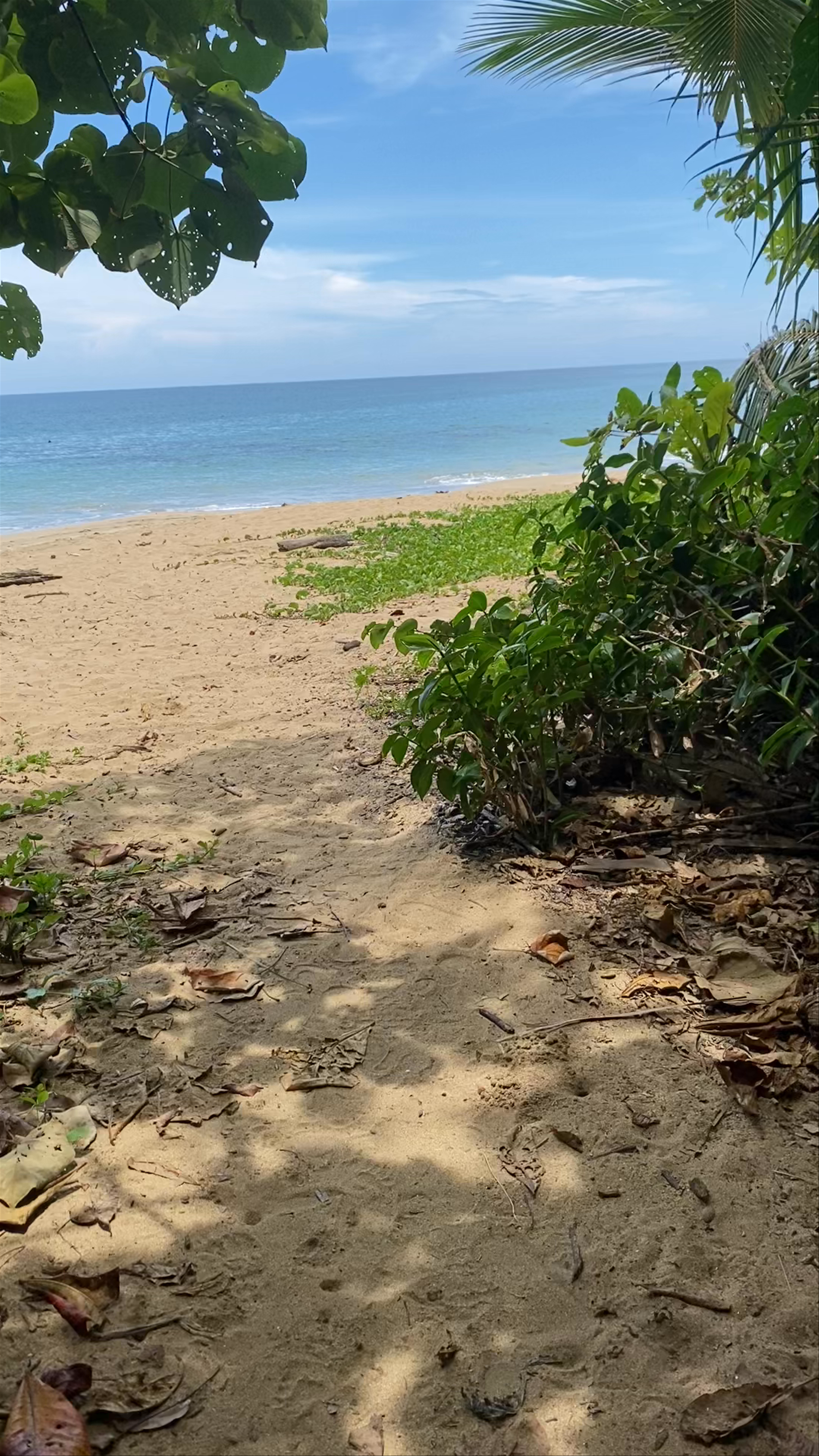 Playa Punta Uva