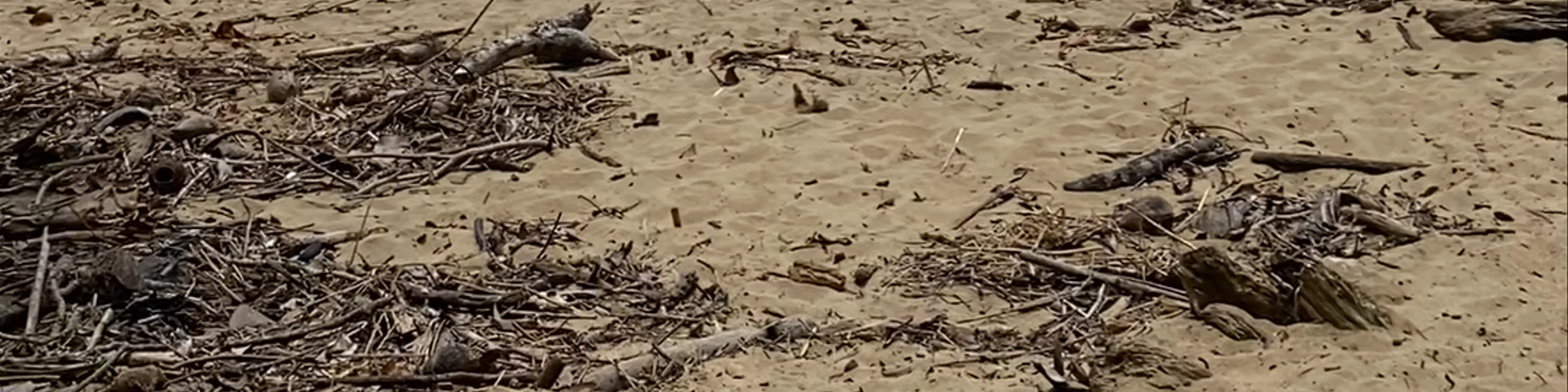 Playa Punta Uva