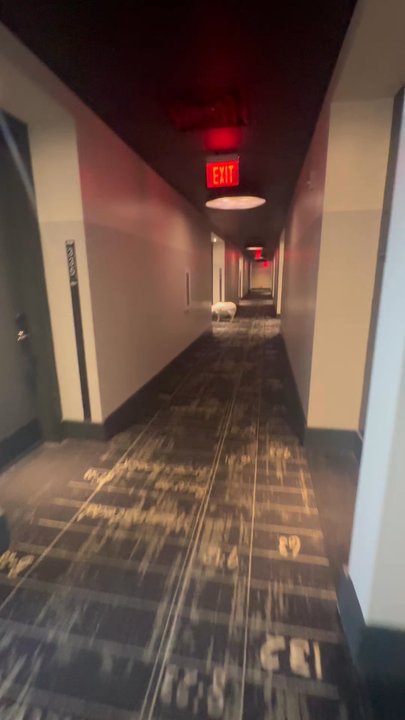 The George - Wandering sheep. - Hotels Near Me - College Station, Texas