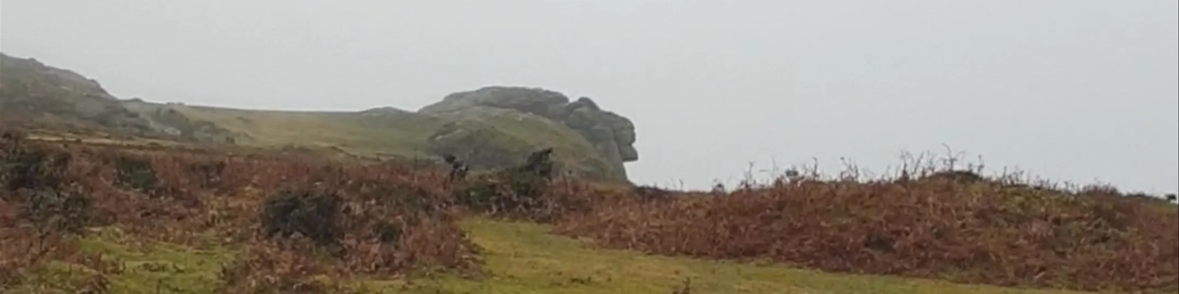 Haytor Rocks Dartmoor