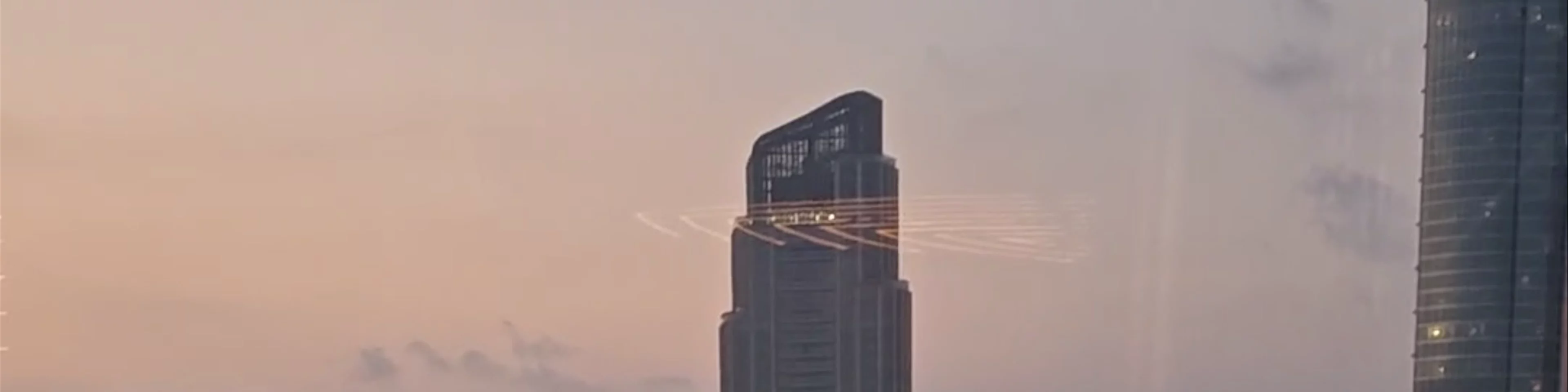 Birds Dubai