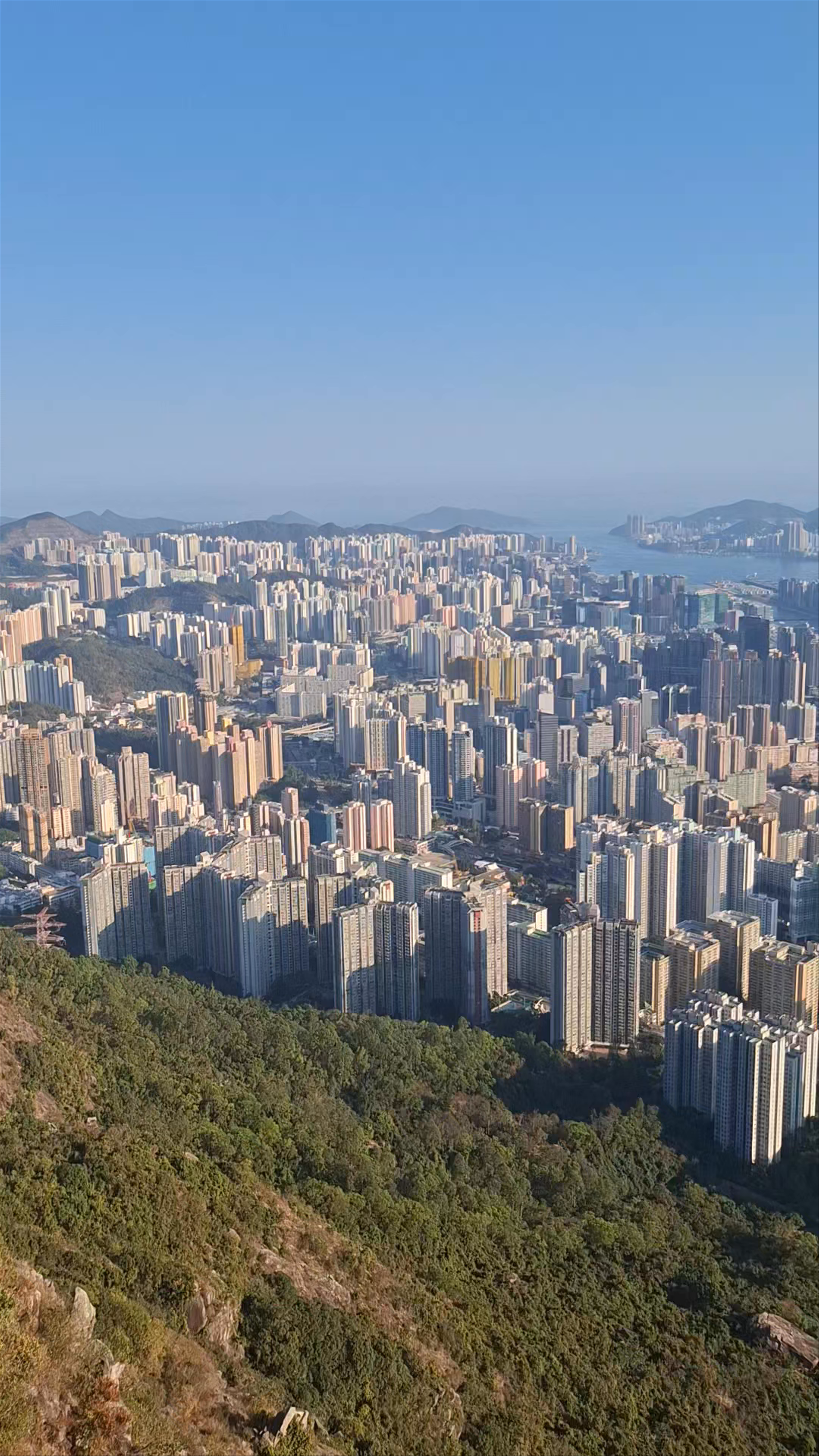 Lion Rock Country Park