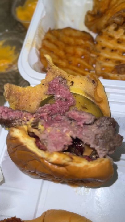 Yoyo Chicken - Raw burger plate - Burgers Near Me - Brooklyn, New York