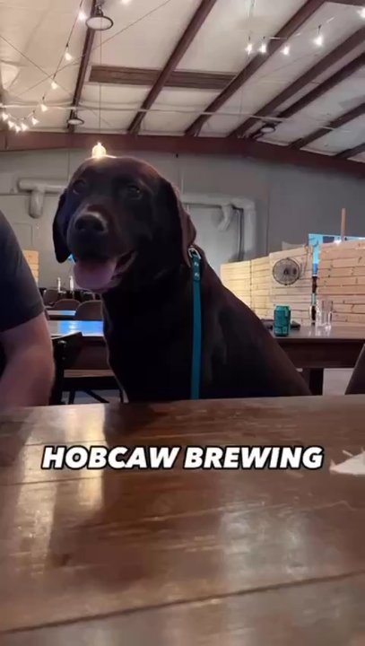 Hobcaw Brewing - Breweries Near Me - Mount Pleasant, South Carolina