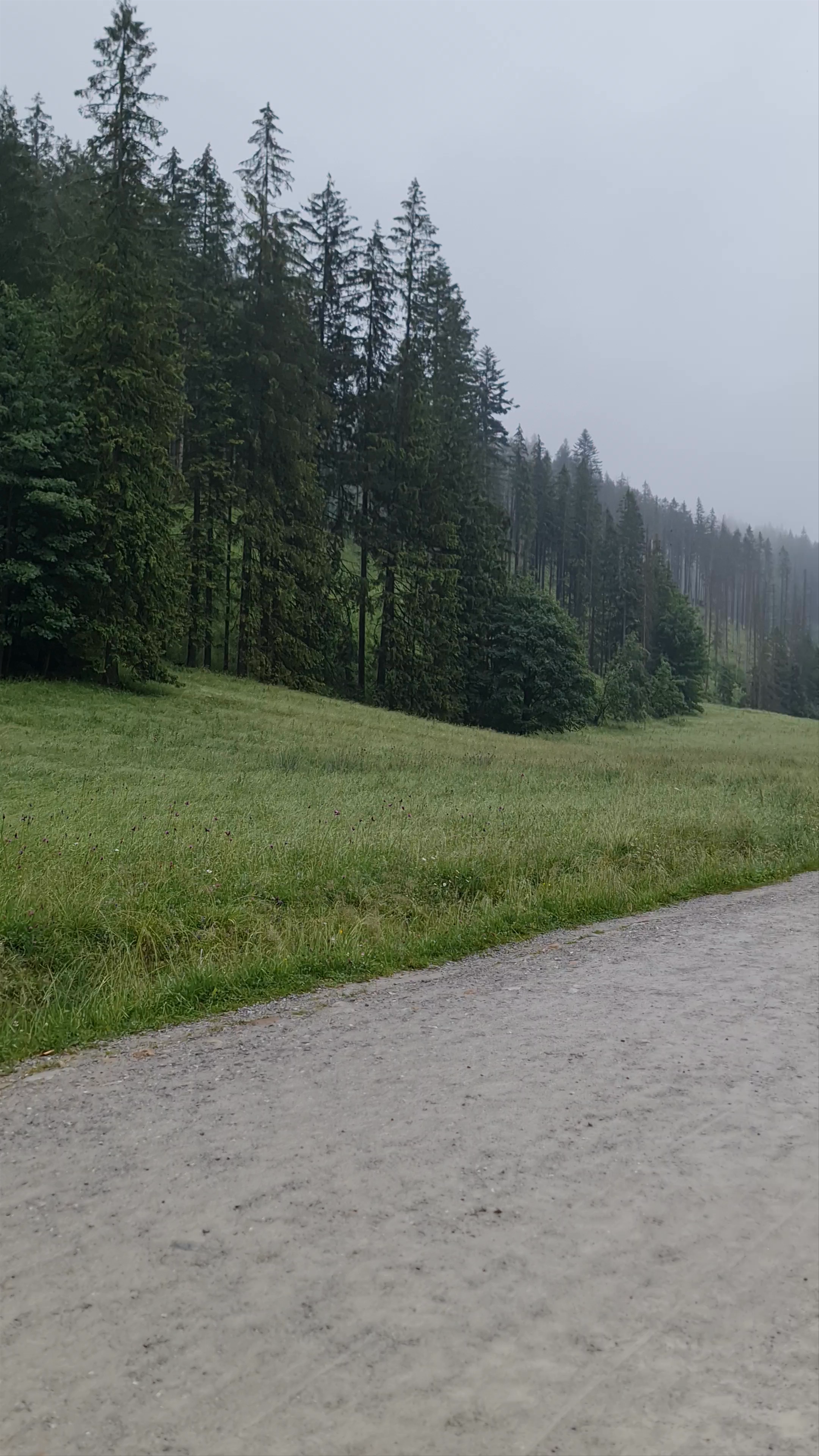 Scenic Horse-Drawn Carriage Ride at Valley of Dry Water, Zakopane