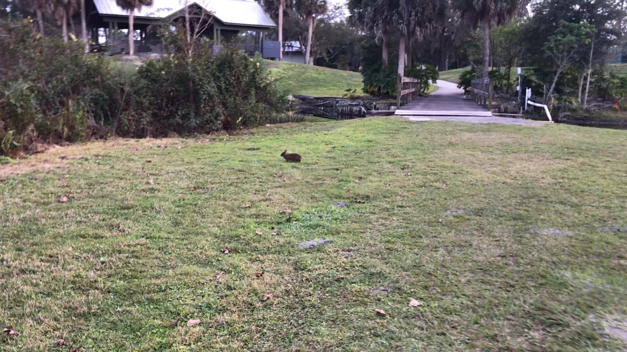 Windermere Recreation Center - Parks Near Me - Windermere, Florida