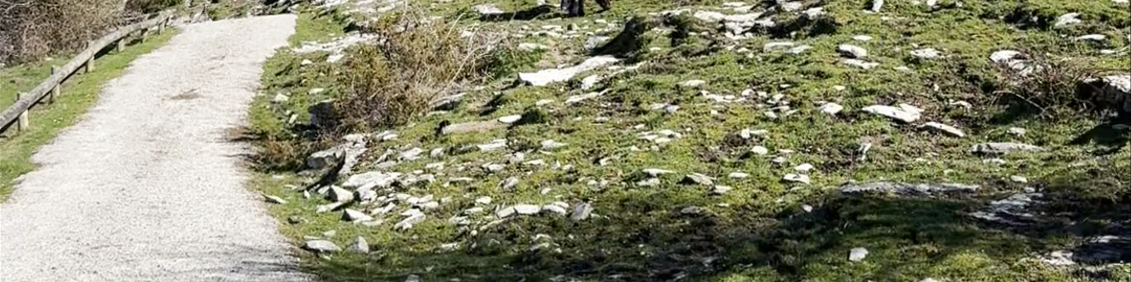 Peña Moscadero
