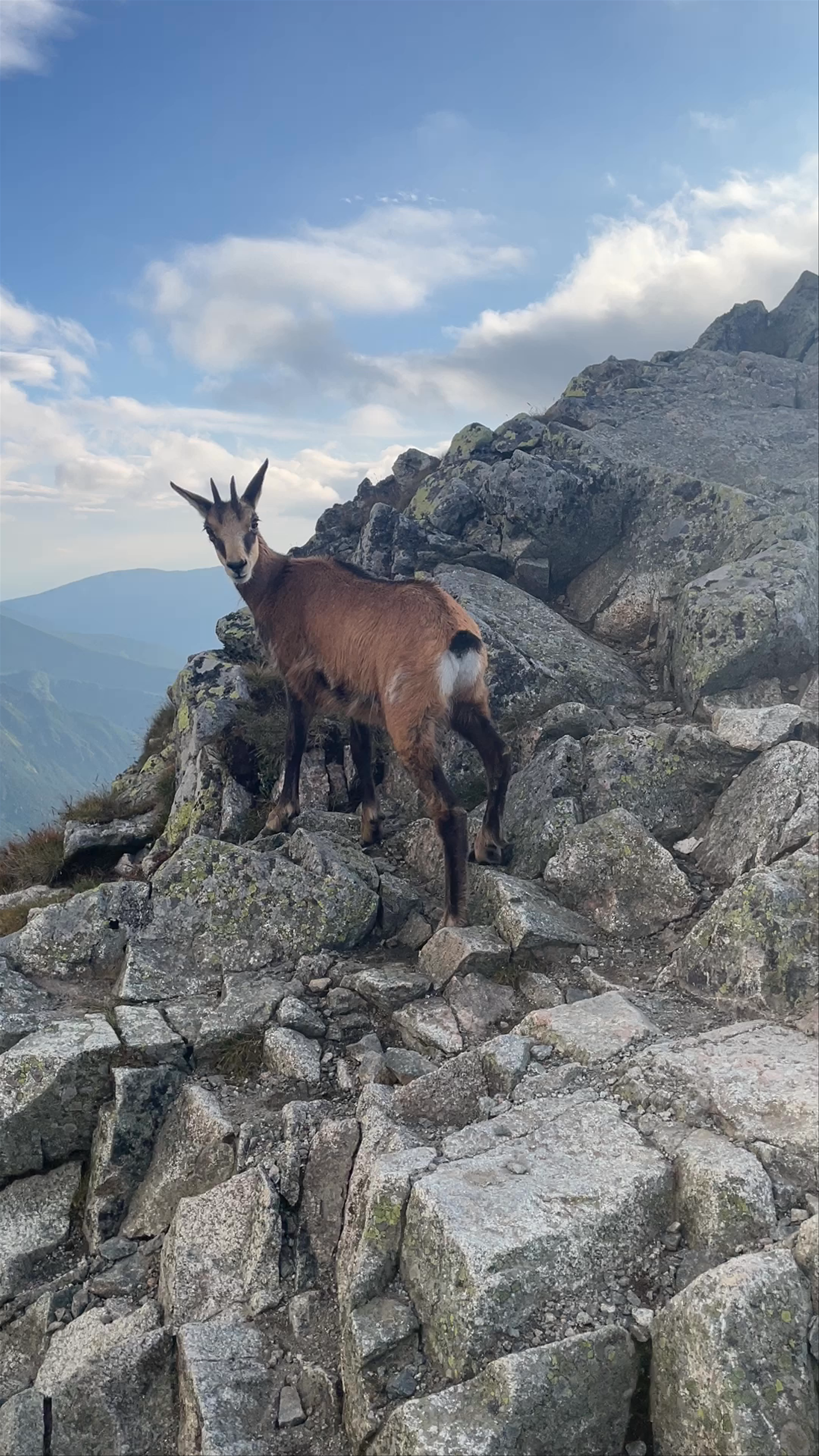 Tatra National Park