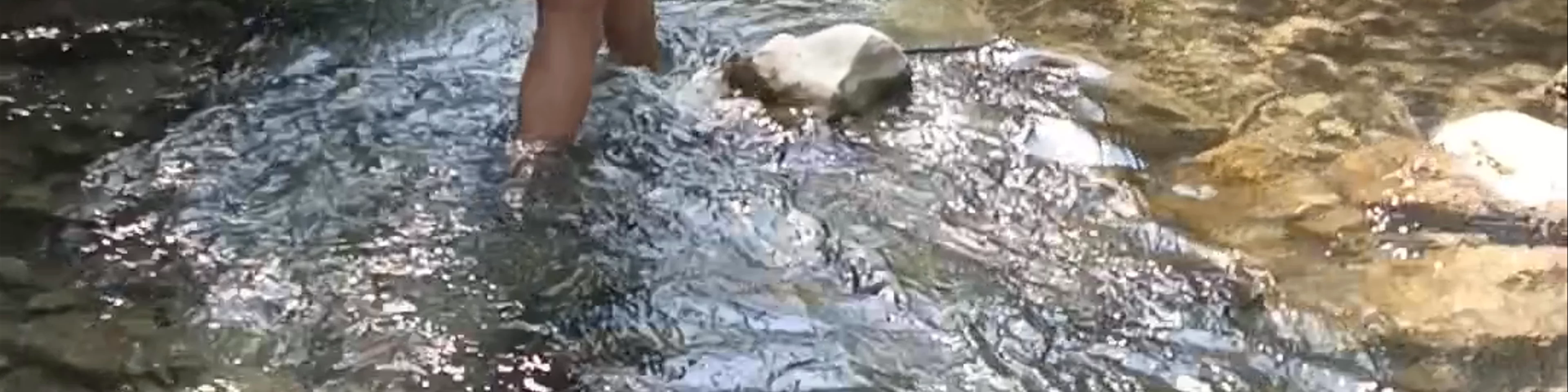 Río Tus