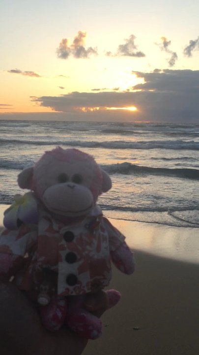 Nukoli'i Beach - GMonkey do 2022: Sunrise - Beaches Near Me - Lihue, Hawaii