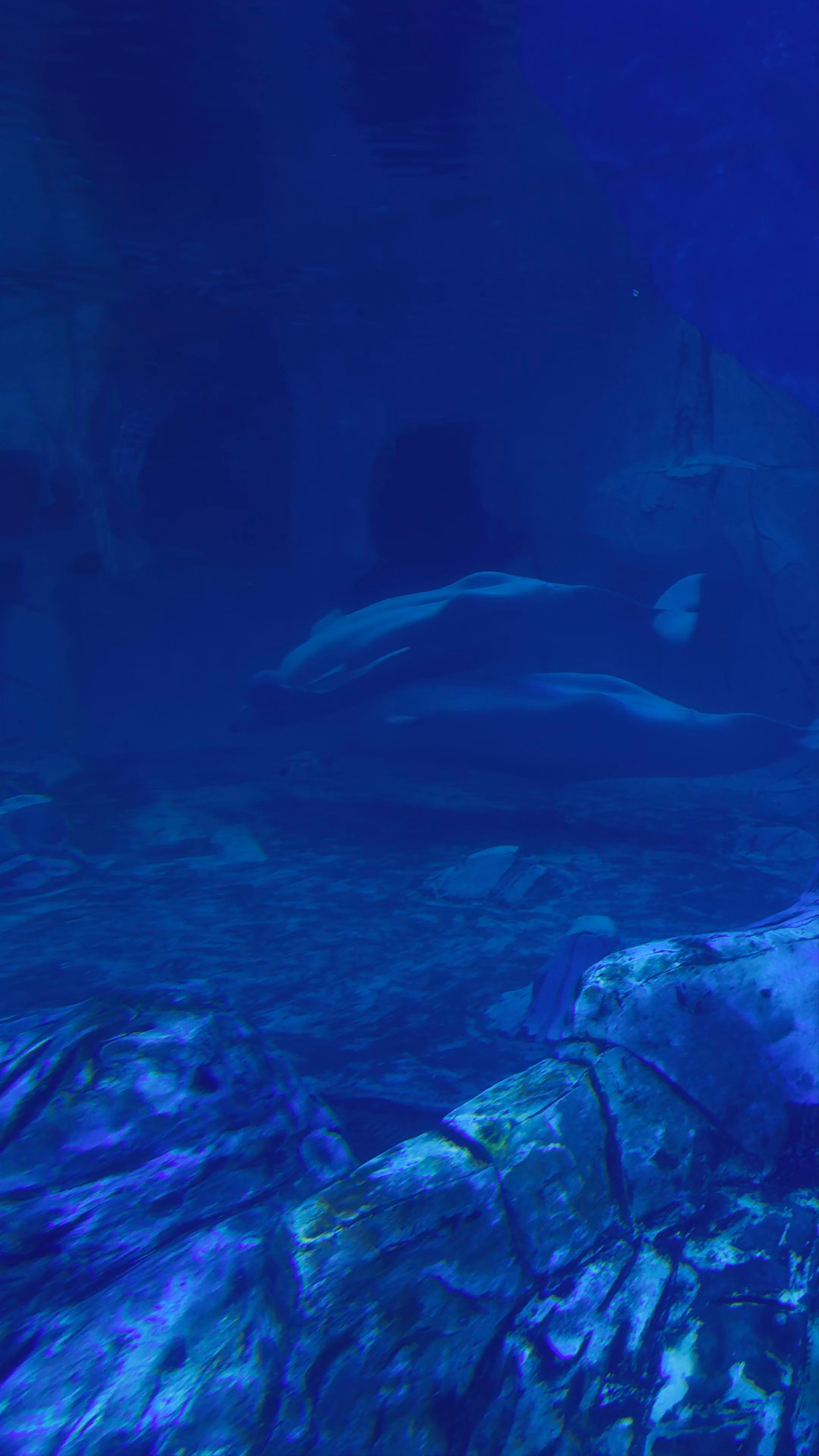 Aqua Multiespacio