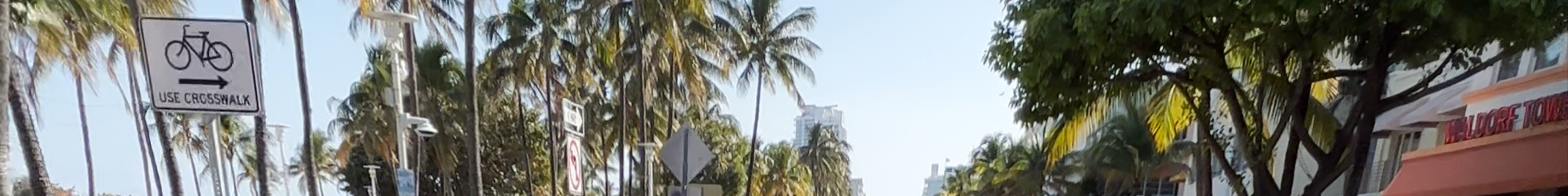 Tours & experiences in Miami Beach
