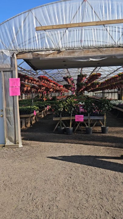Fink's Country Farm - Farmers Market Near Me - Wading River, New York