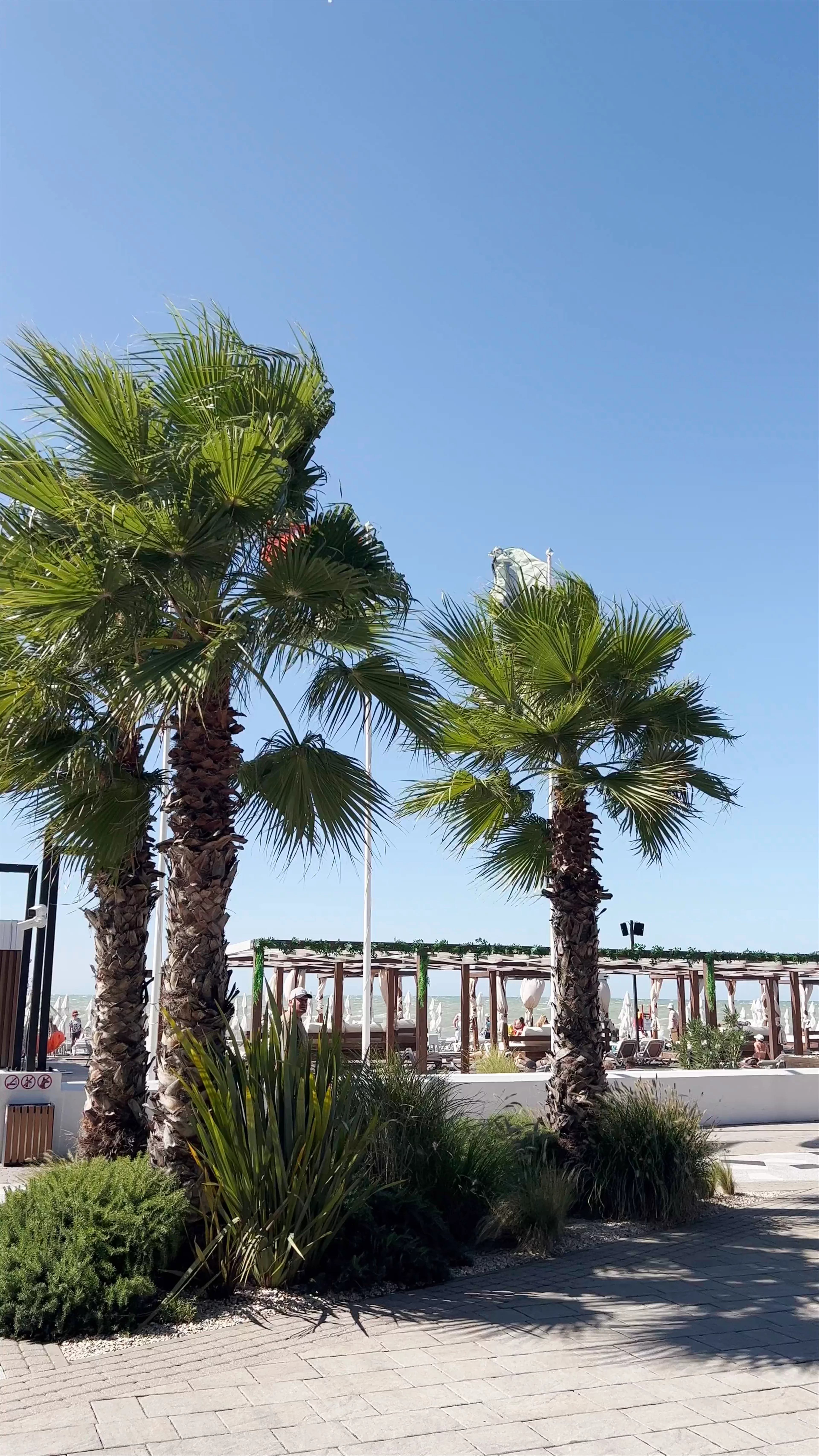 Riviera Beach, переулок Ривьерский, Sochi