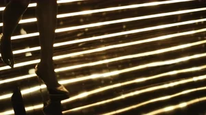 Good Girl - Jasmine - © Ryan Chappell