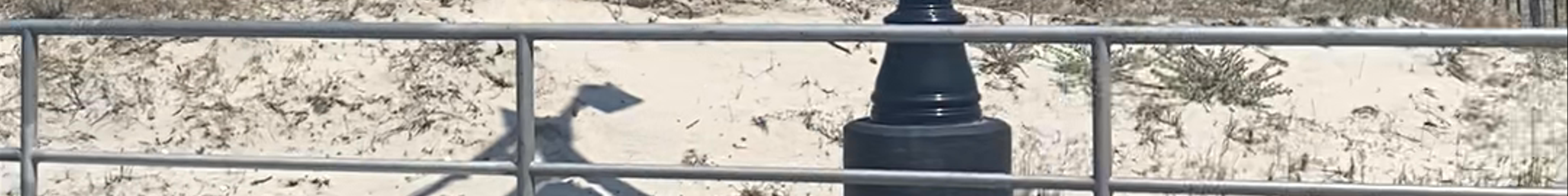 Tours & experiences in Sea Isle City