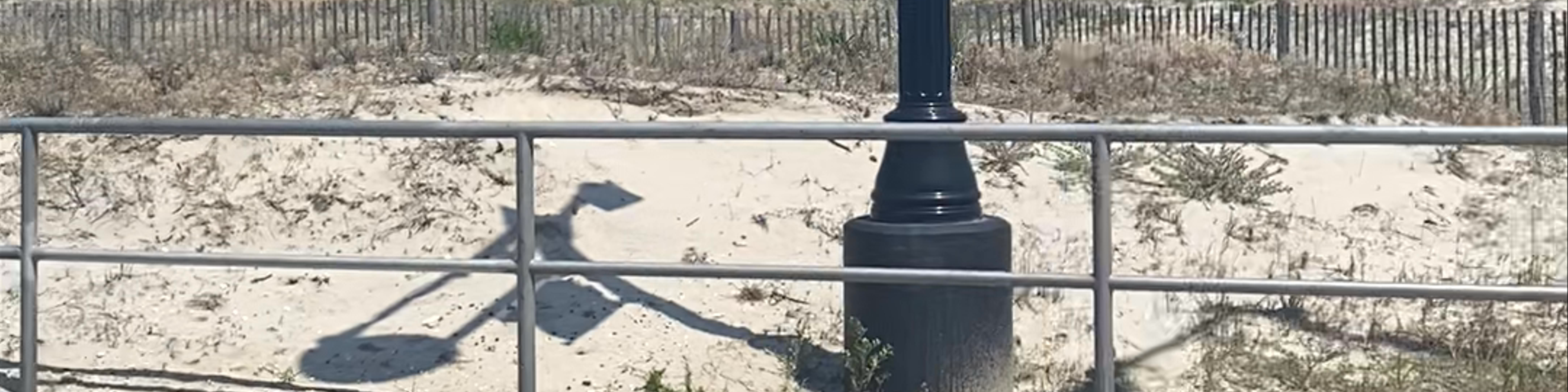 New Jersey